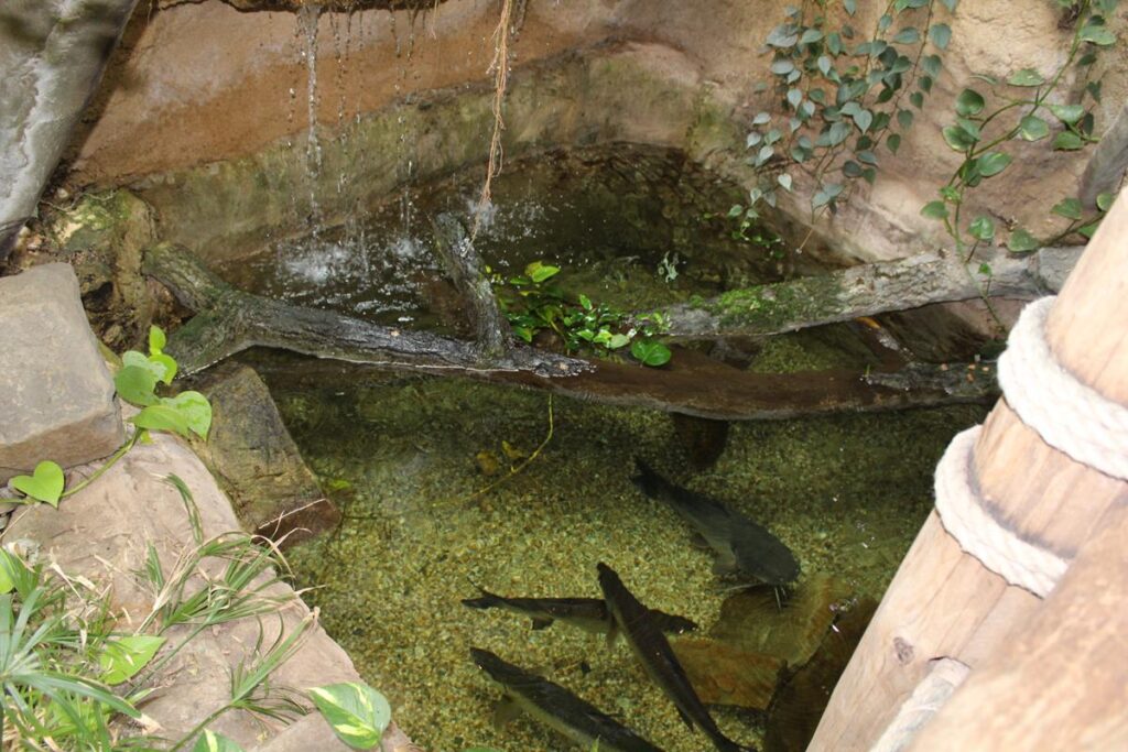 zoo w ostrawie - Vlog Steina