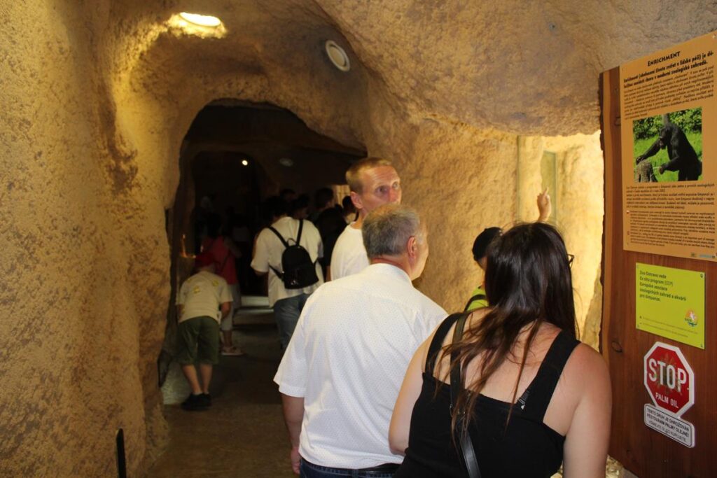 zoo w ostrawie - Vlog Steina