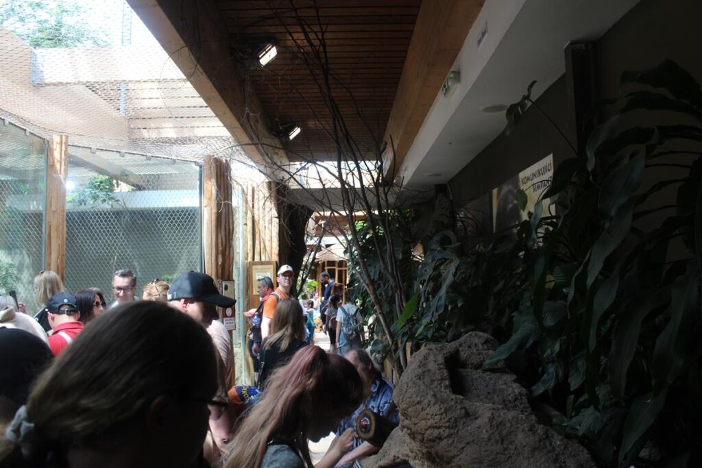 zoo w ostrawie - Vlog Steina