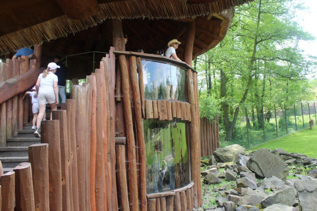 zoo w ostrawie - Vlog Steina