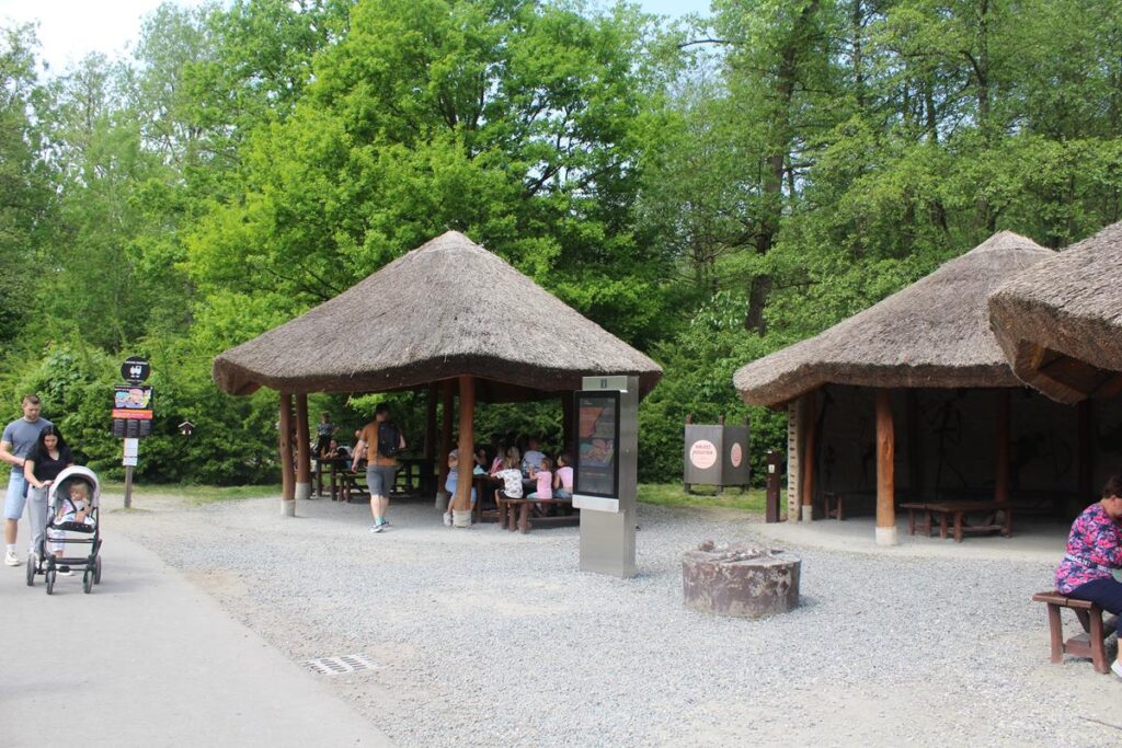 zoo w ostrawie - Vlog Steina