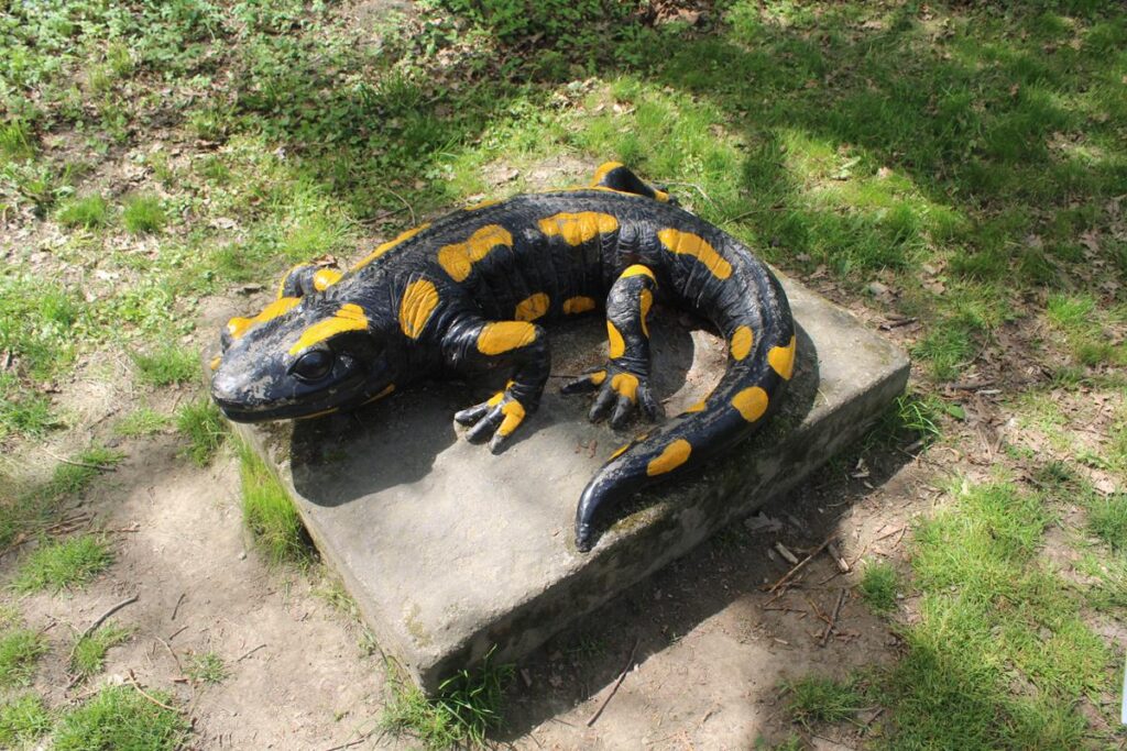 zoo w ostrawie - Vlog Steina