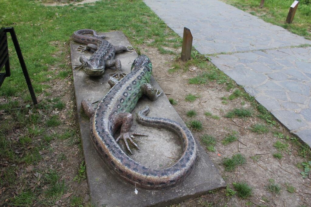 zoo w ostrawie - Vlog Steina