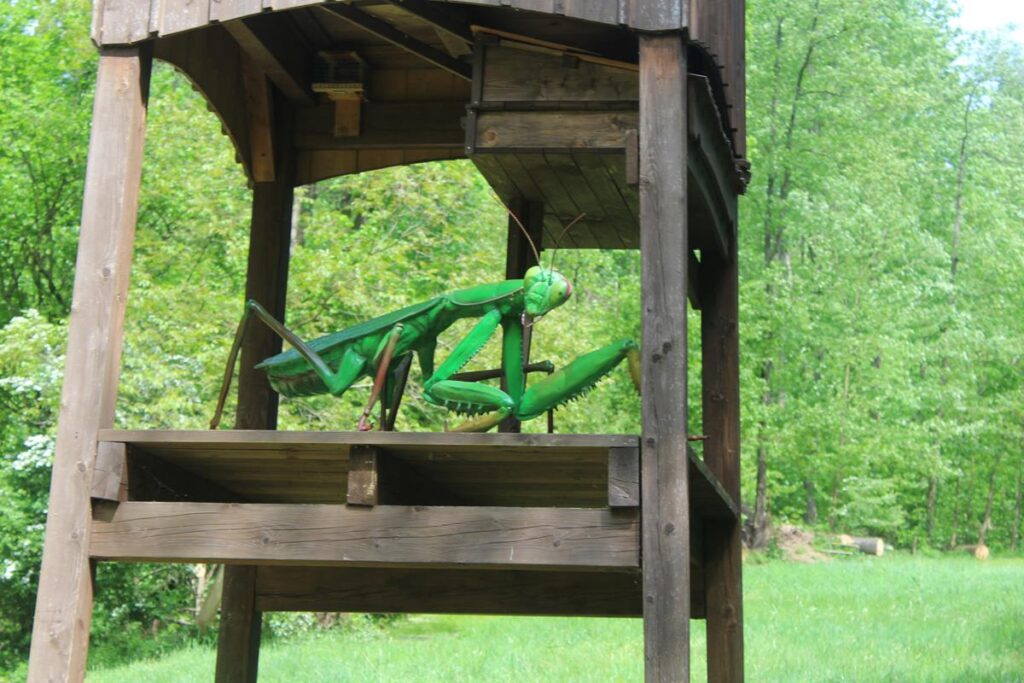 zoo w ostrawie - Vlog Steina