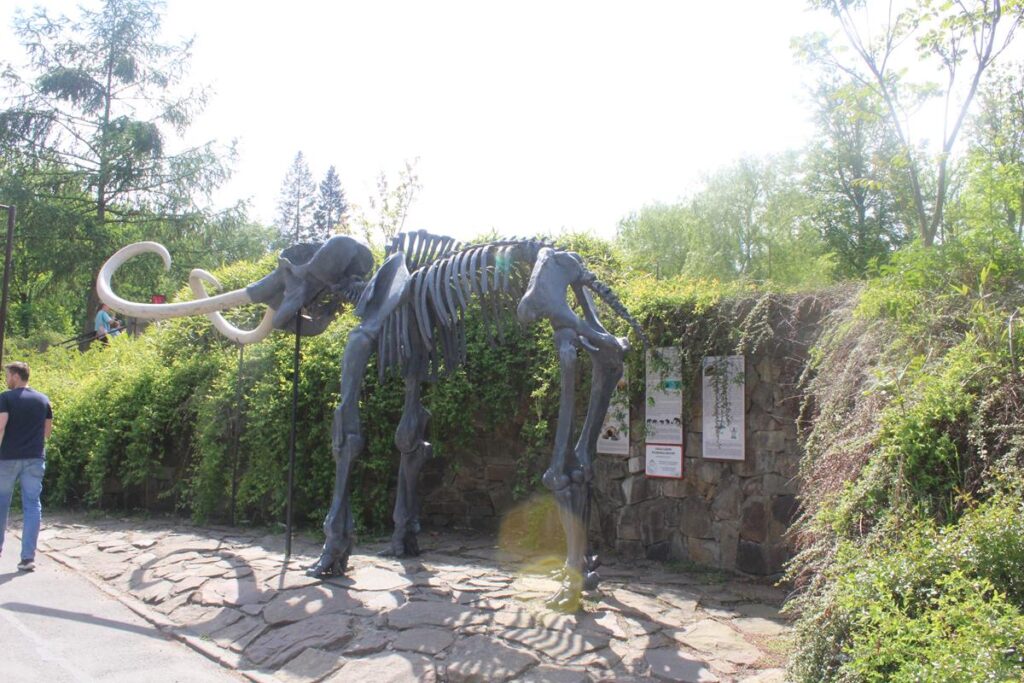 zoo w ostrawie - Vlog Steina