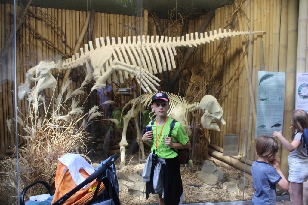 zoo w ostrawie - Vlog Steina