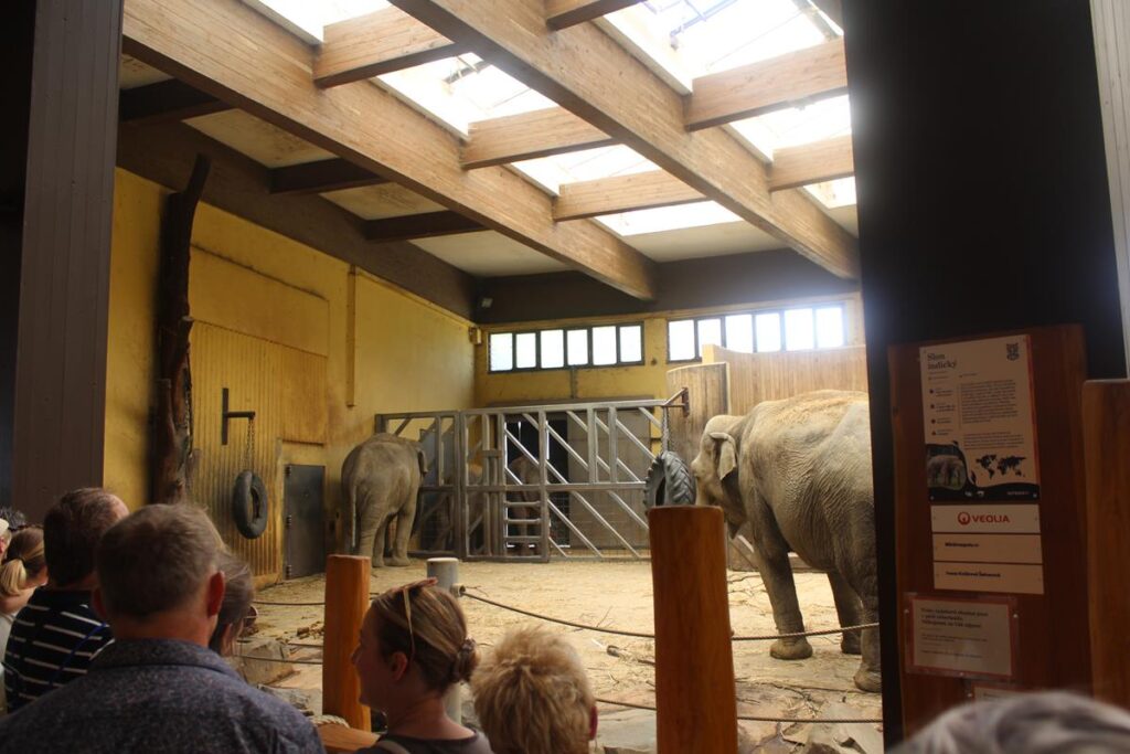 zoo w ostrawie - Vlog Steina