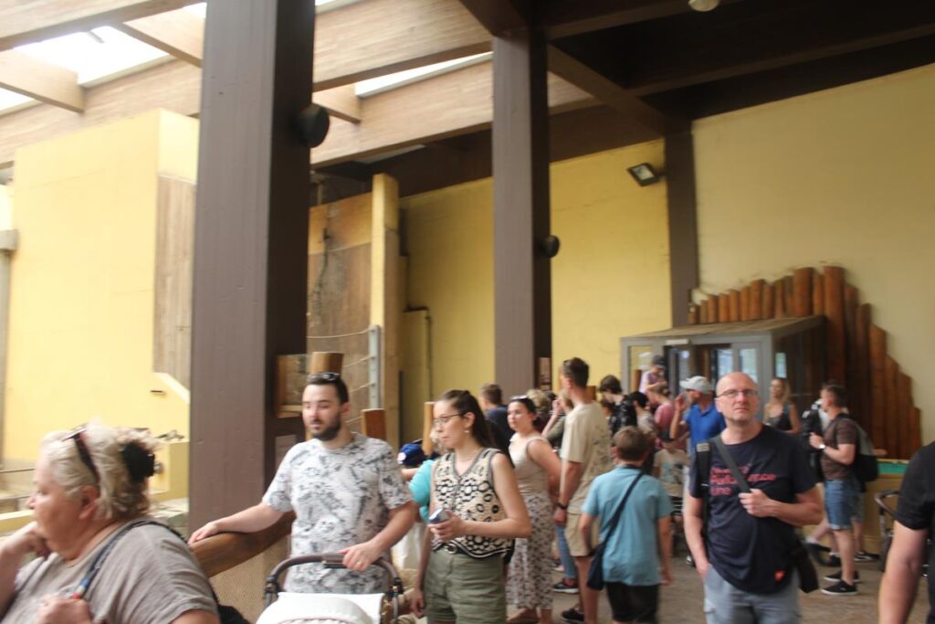 zoo w ostrawie - Vlog Steina