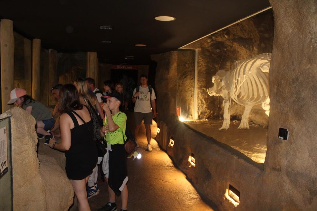 zoo w ostrawie - Vlog Steina