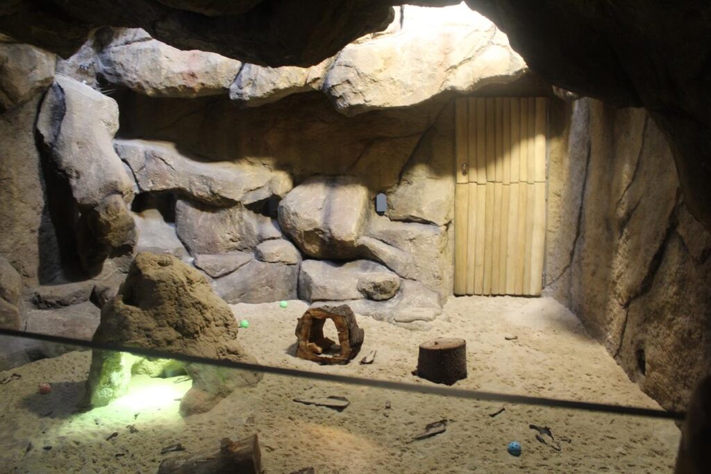 zoo w ostrawie - Vlog Steina