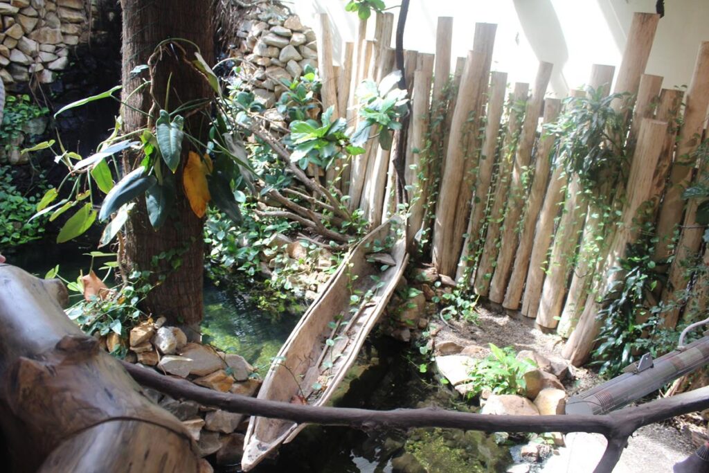 zoo w ostrawie - Vlog Steina