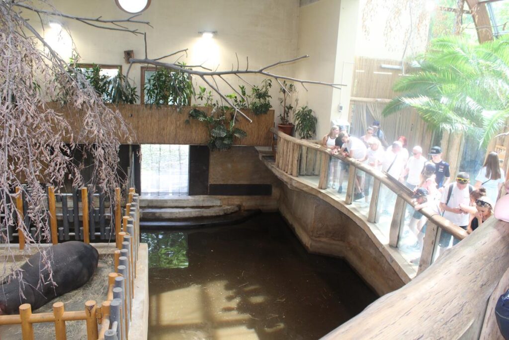 zoo w ostrawie - Vlog Steina