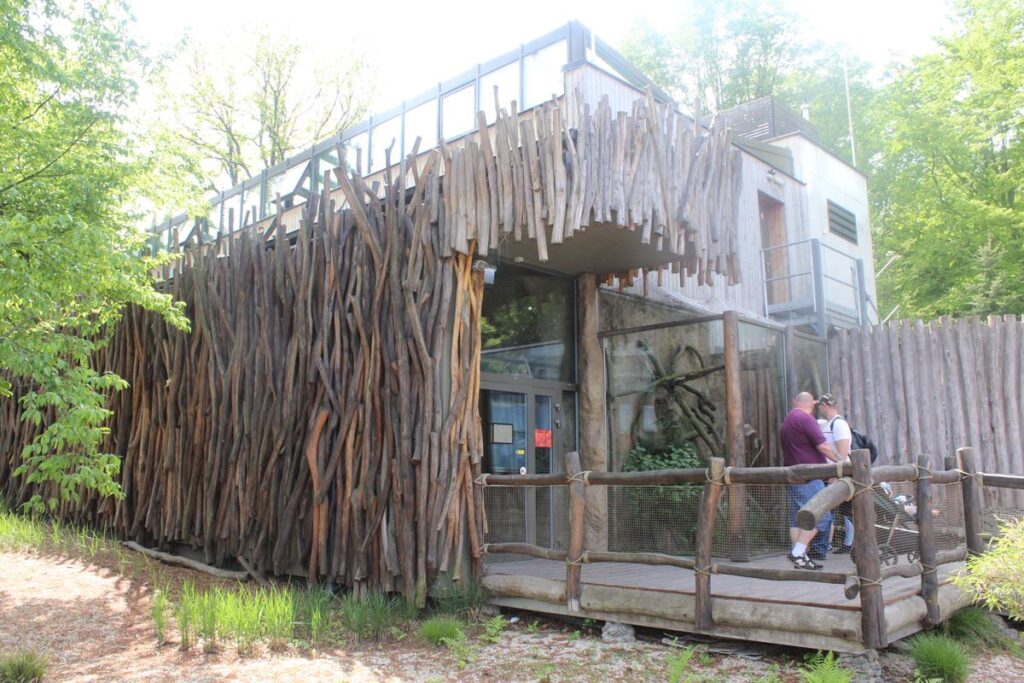 zoo w ostrawie - Vlog Steina