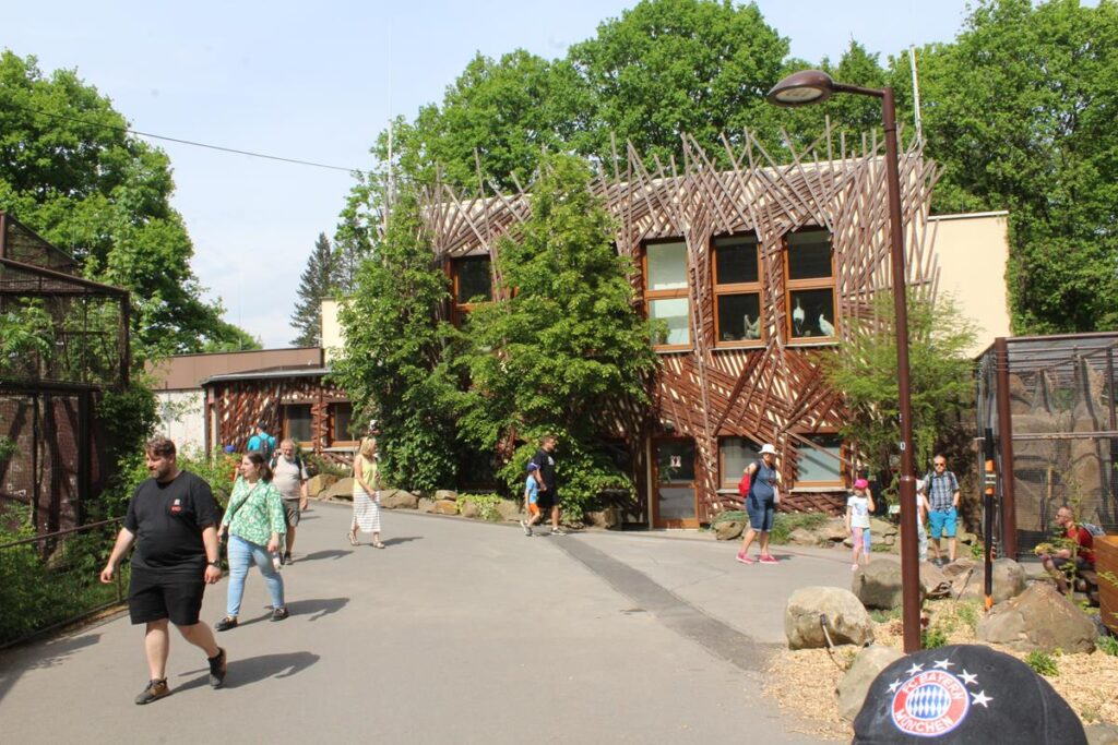 zoo w ostrawie - Vlog Steina