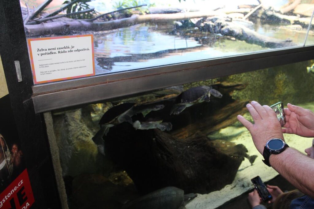 zoo w ostrawie - Vlog Steina