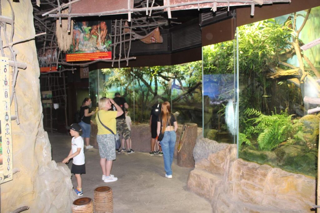 zoo w ostrawie - Vlog Steina