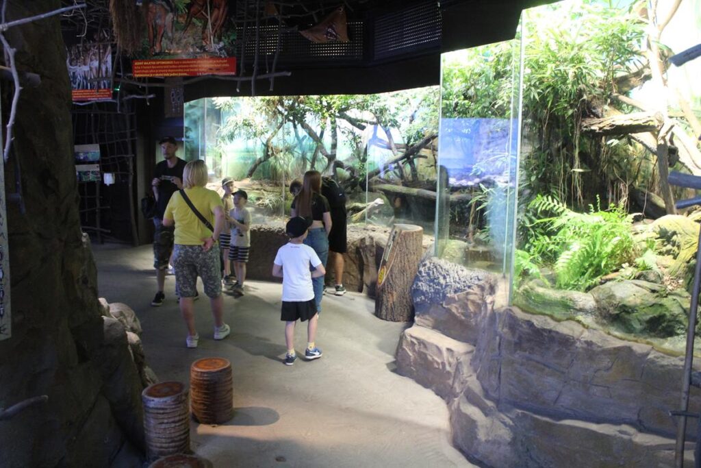 zoo w ostrawie - Vlog Steina