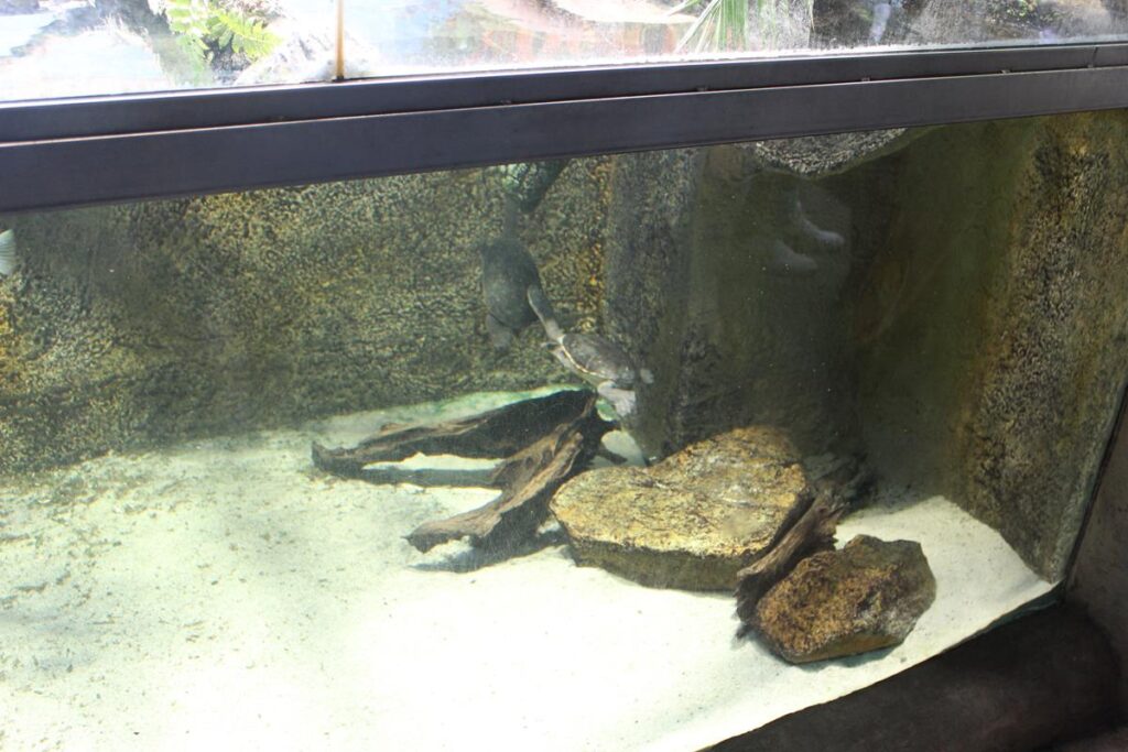 zoo w ostrawie - Vlog Steina