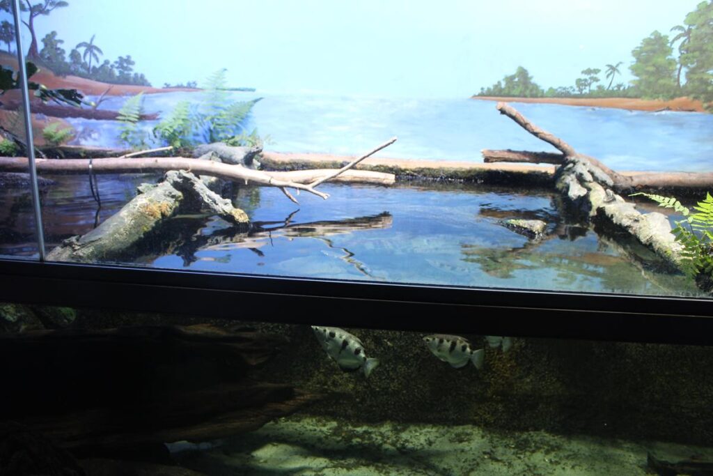 zoo w ostrawie - Vlog Steina