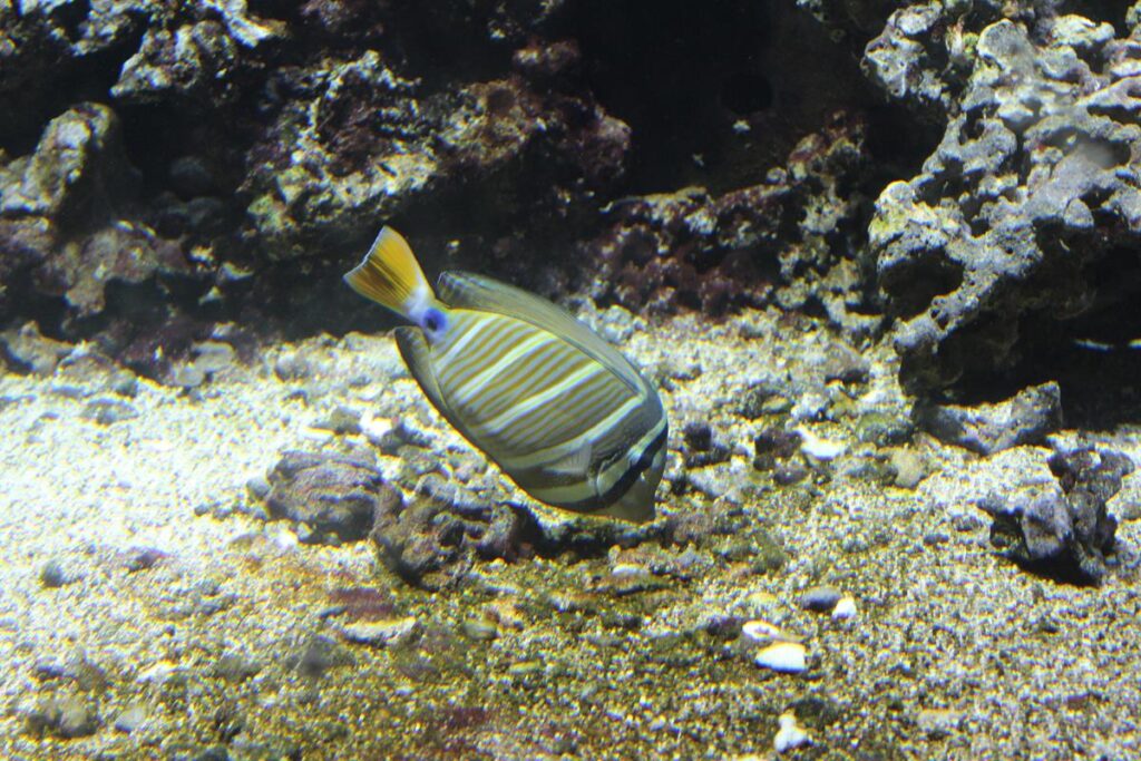 zoo w ostrawie - Vlog Steina