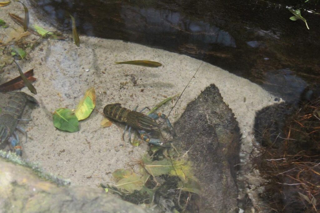 zoo w ostrawie - Vlog Steina