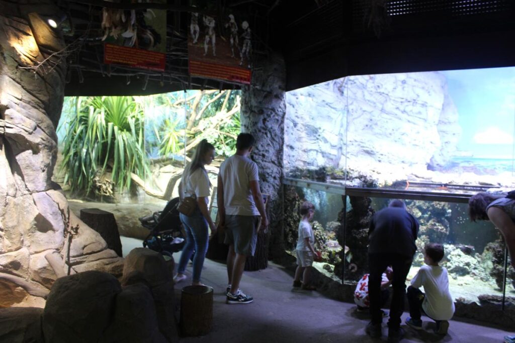 zoo w ostrawie - Vlog Steina