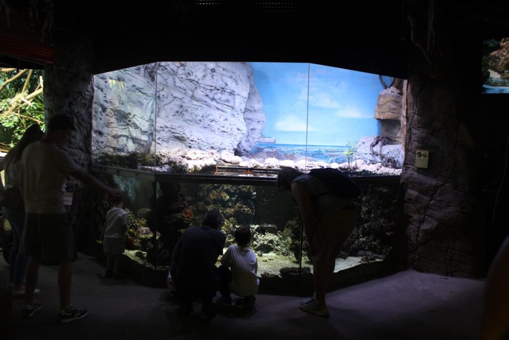 zoo w ostrawie - Vlog Steina