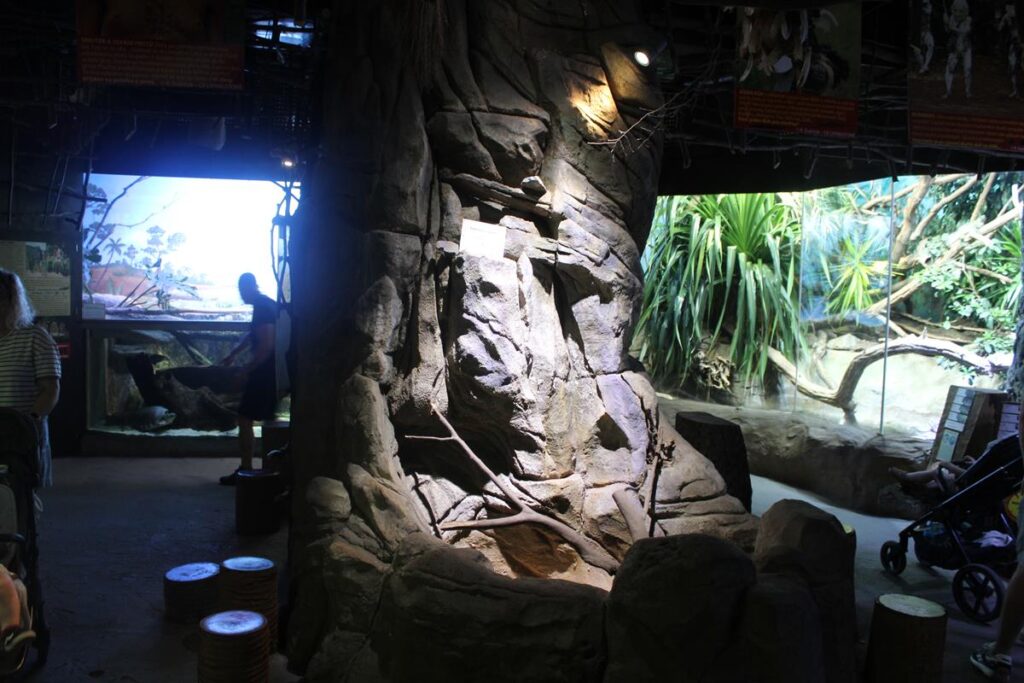 zoo w ostrawie - Vlog Steina