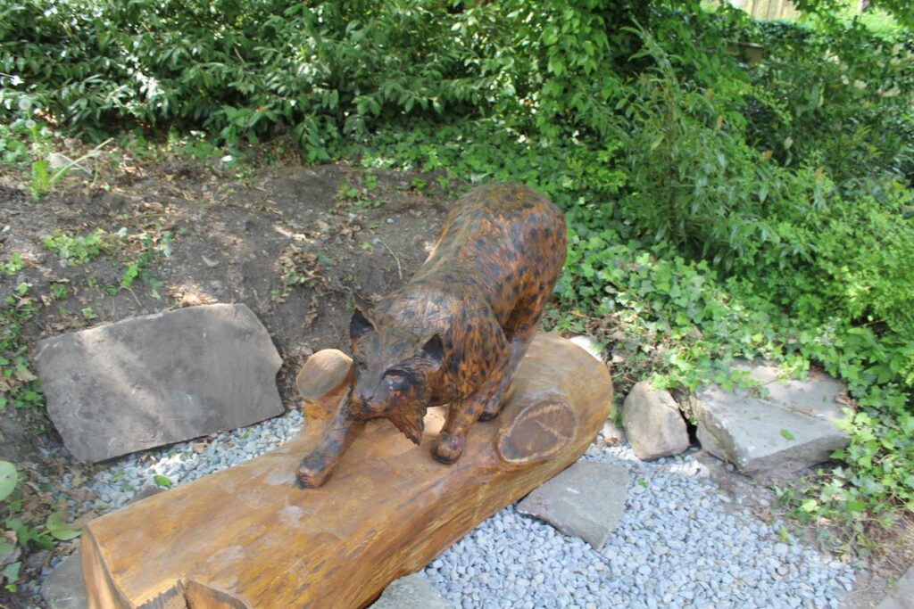 zoo w ostrawie - Vlog Steina