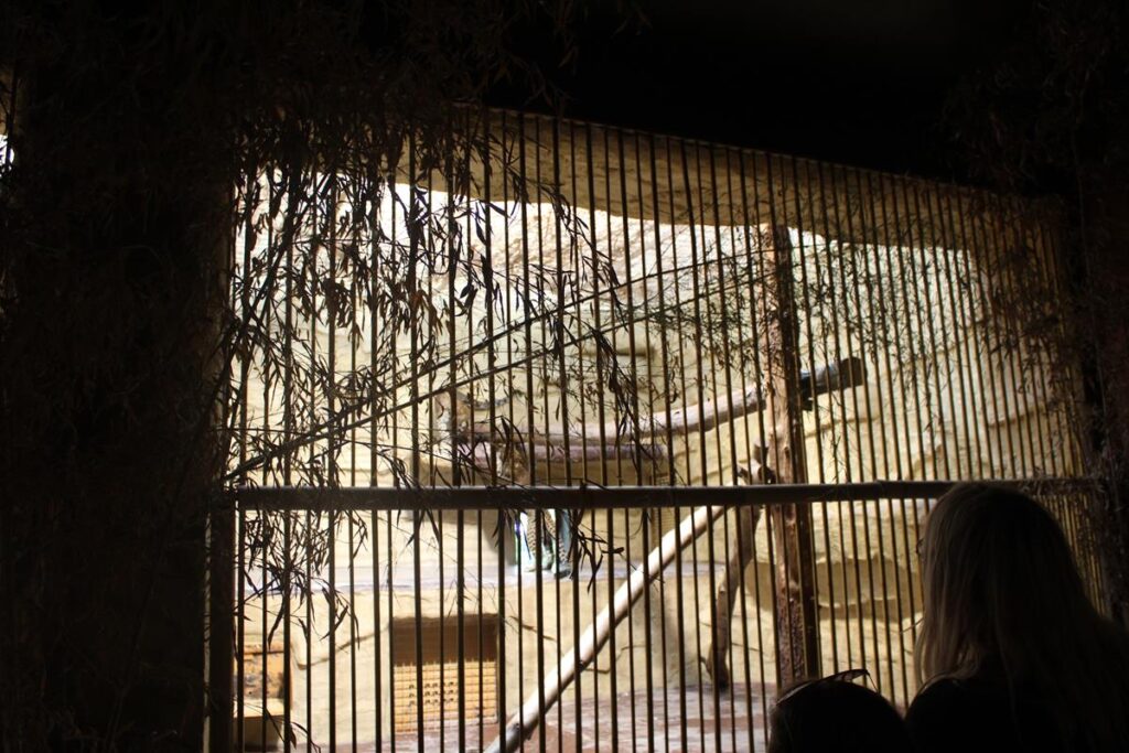 zoo w ostrawie - Vlog Steina