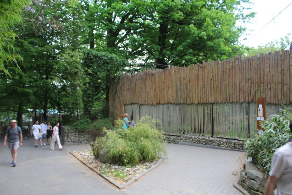 zoo w ostrawie - Vlog Steina