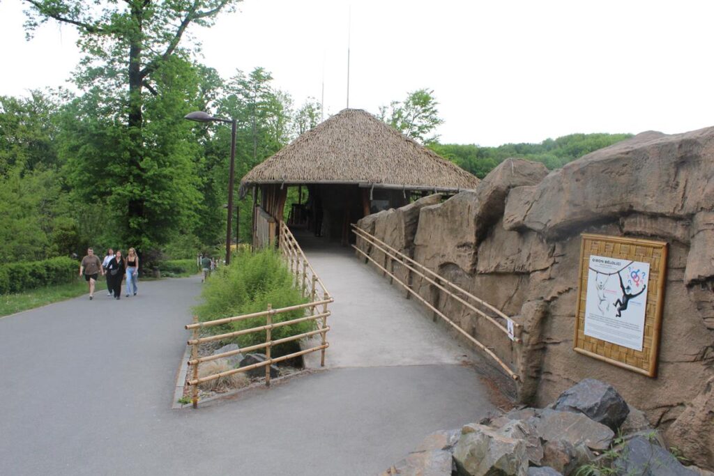 zoo w ostrawie - Vlog Steina