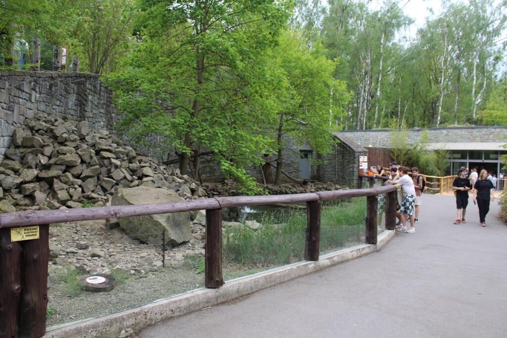 zoo w ostrawie - Vlog Steina