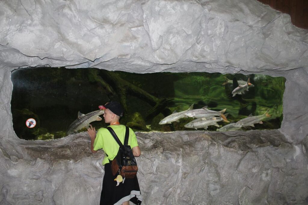 zoo w ostrawie - Vlog Steina