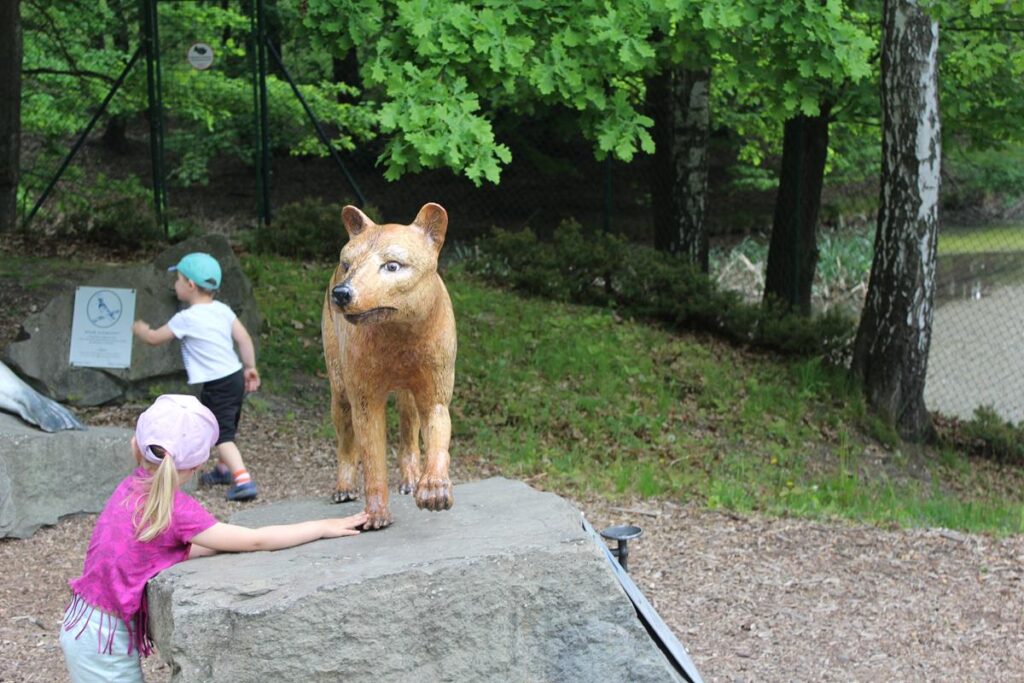 zoo w ostrawie - Vlog Steina