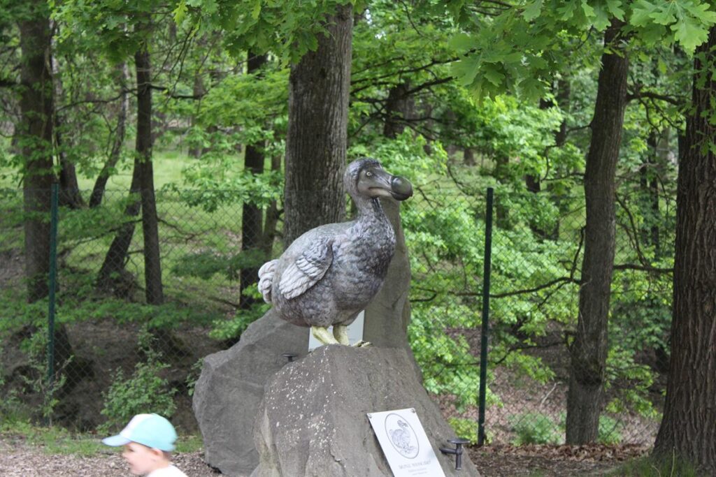 zoo w ostrawie - Vlog Steina