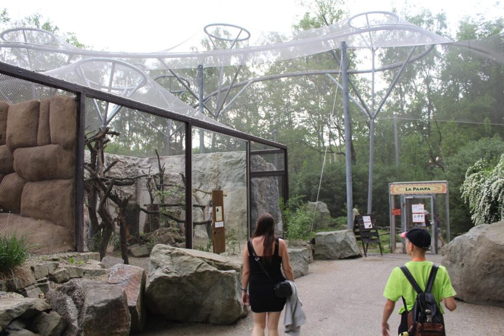 zoo w ostrawie - Vlog Steina