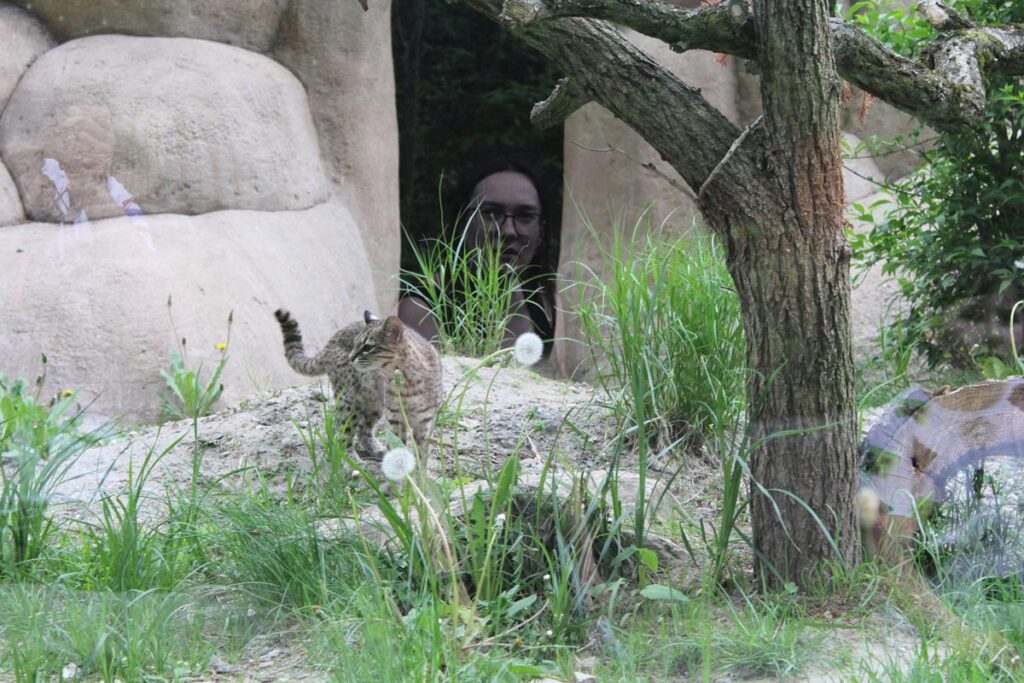 zoo w ostrawie - Vlog Steina