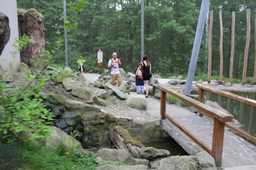 zoo w ostrawie - Vlog Steina