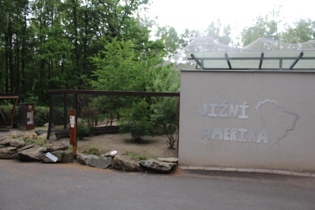 zoo w ostrawie - Vlog Steina