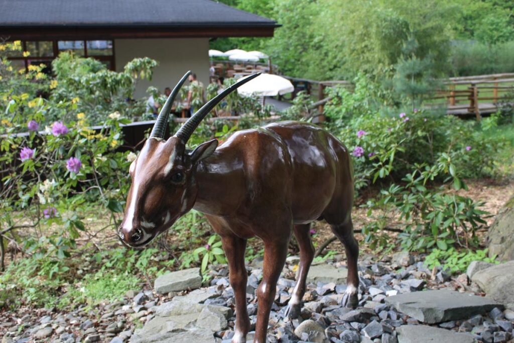 zoo w ostrawie - Vlog Steina