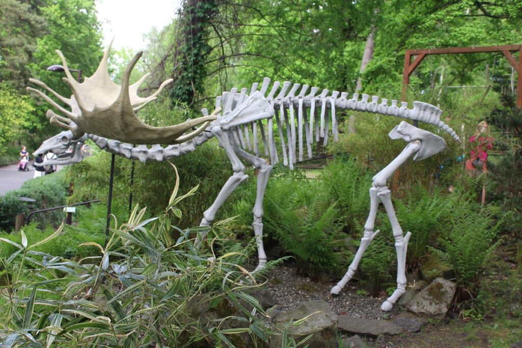 zoo w ostrawie - Vlog Steina