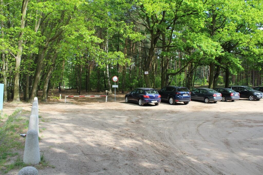 staw śmieszek w żorach - vlog steina