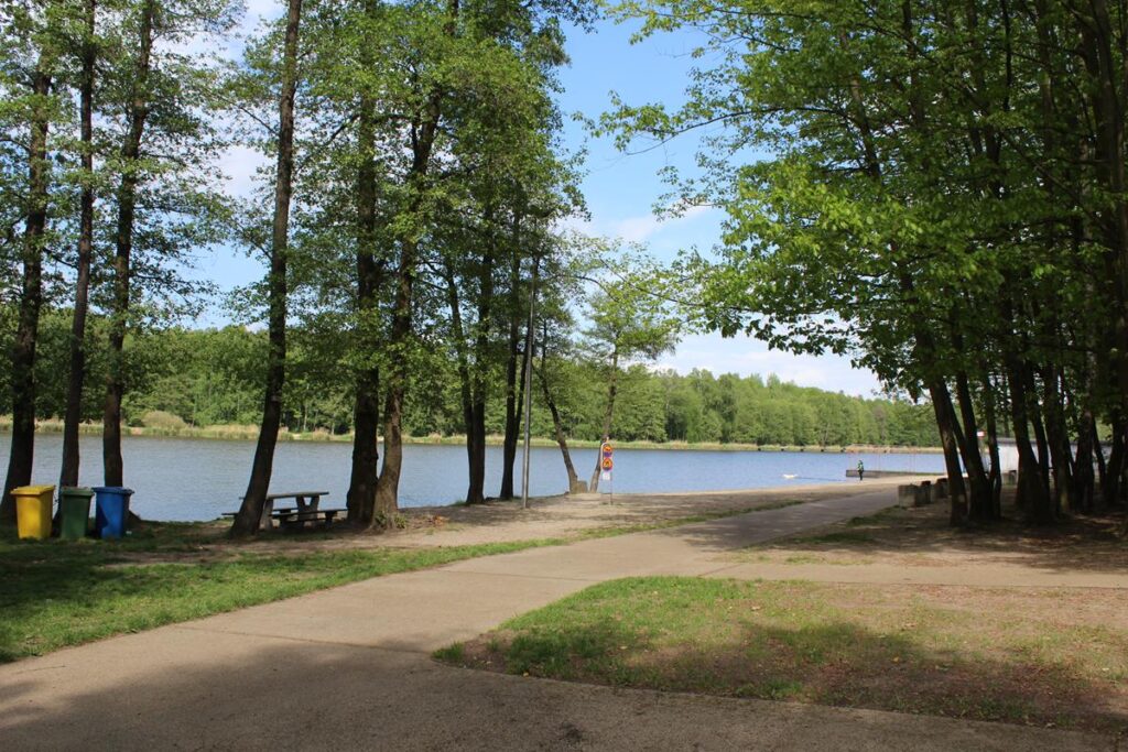 staw śmieszek w żorach - vlog steina