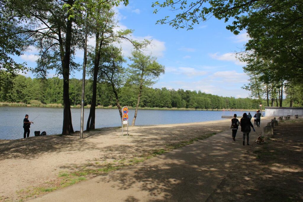 staw śmieszek w żorach - vlog steina