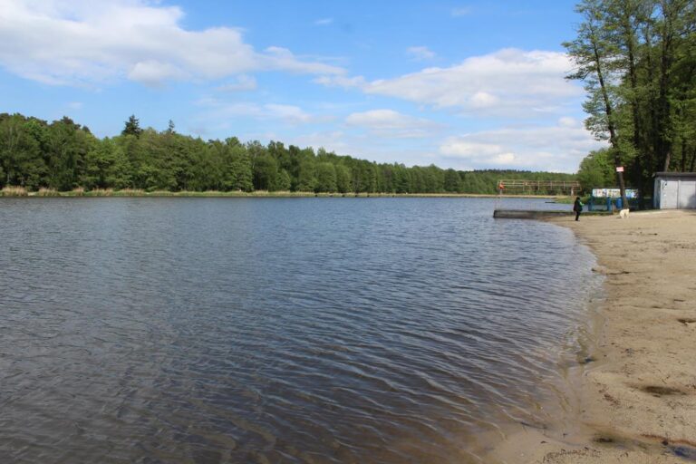 staw śmieszek w żorach - vlog steina