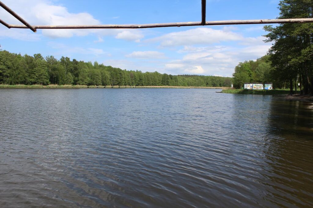 staw śmieszek w żorach - vlog steina