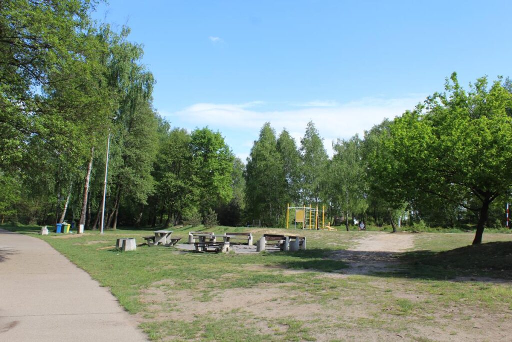 staw śmieszek w żorach - vlog steina