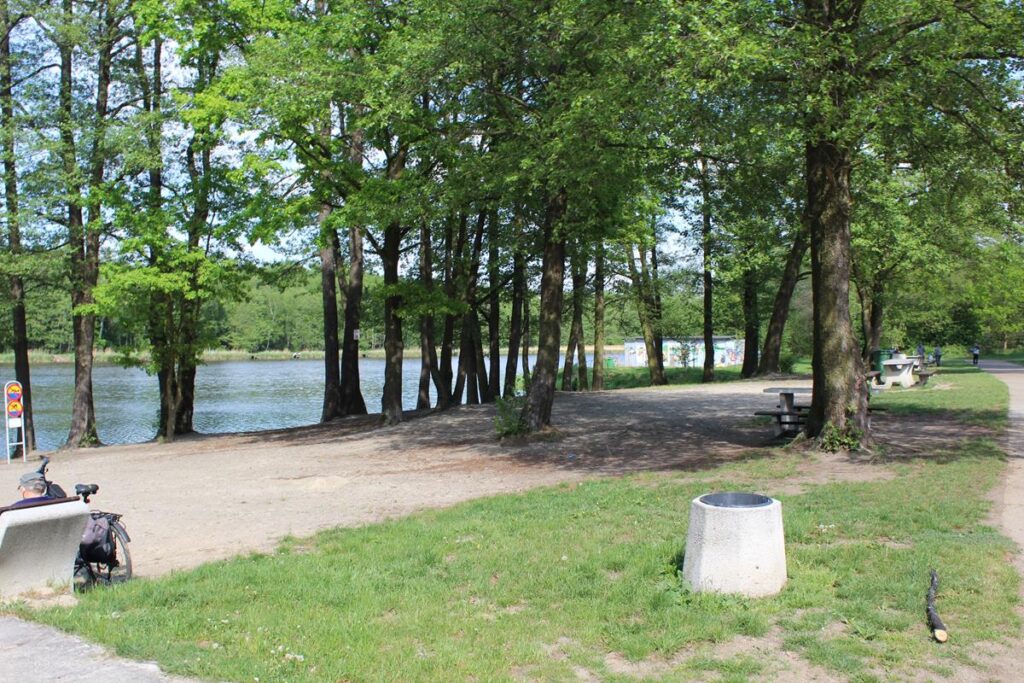 staw śmieszek w żorach - vlog steina