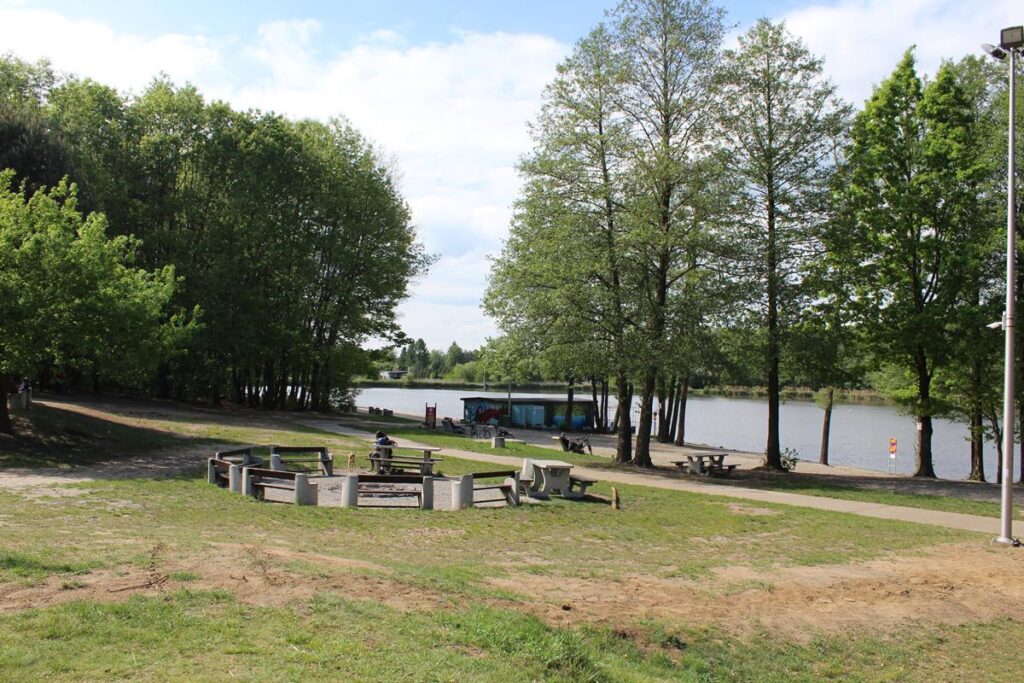 staw śmieszek w żorach - vlog steina